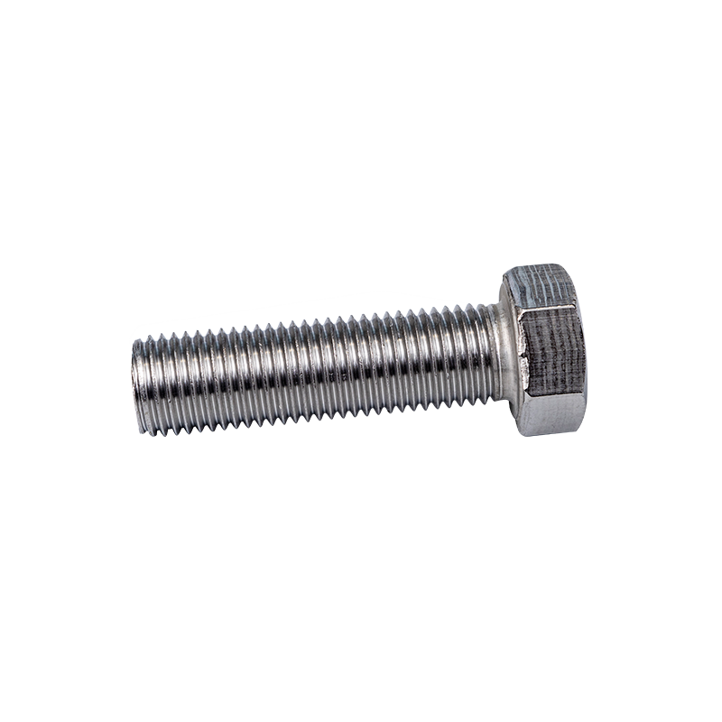 SS316 Din933 M22 Bulloni Hexagon Head