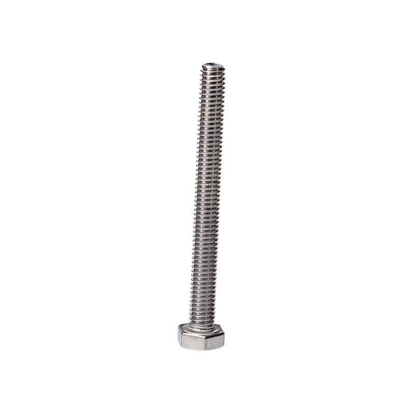 SS316 Din933 M12 Bulloni Hexagon Head