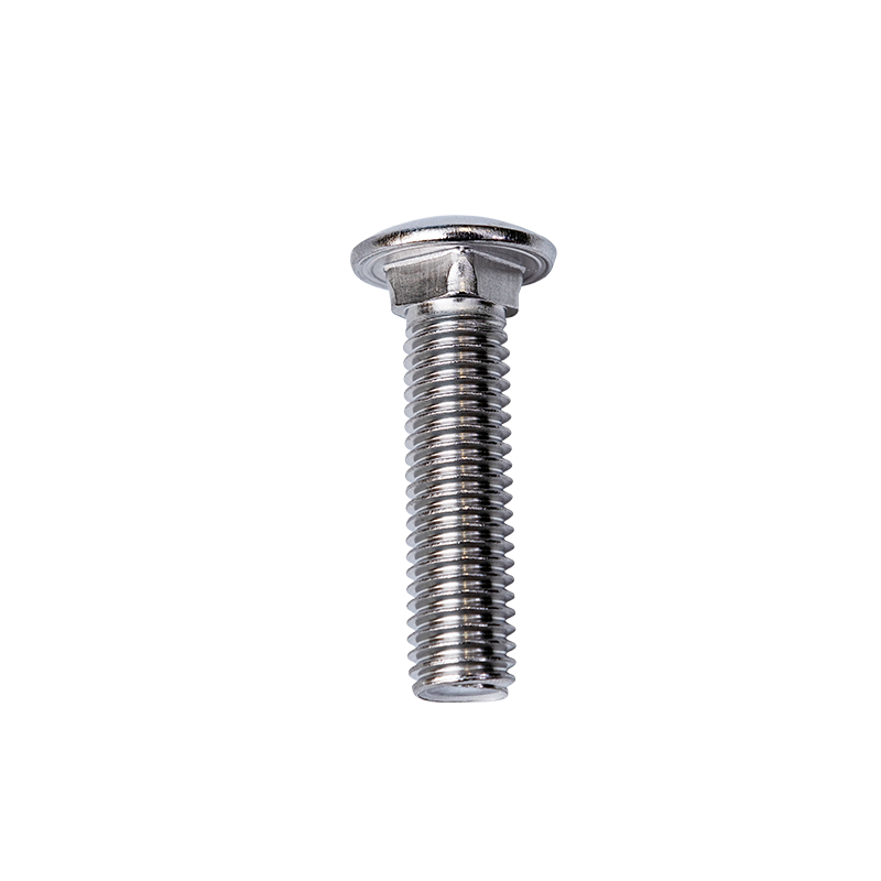 SS304 Din603 M10 tazza di bulloni del collo quadrato