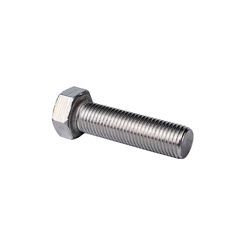 SS316 Din933 M20 Bulloni Hexagon Head