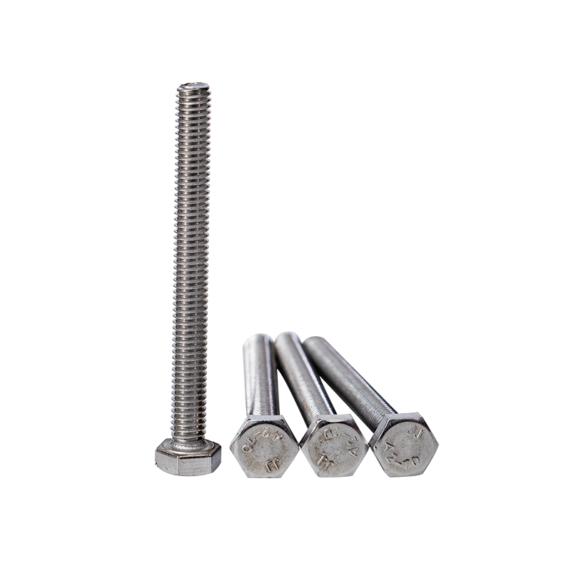 SS304 Din933 M12 Bulloni Hexagon Head