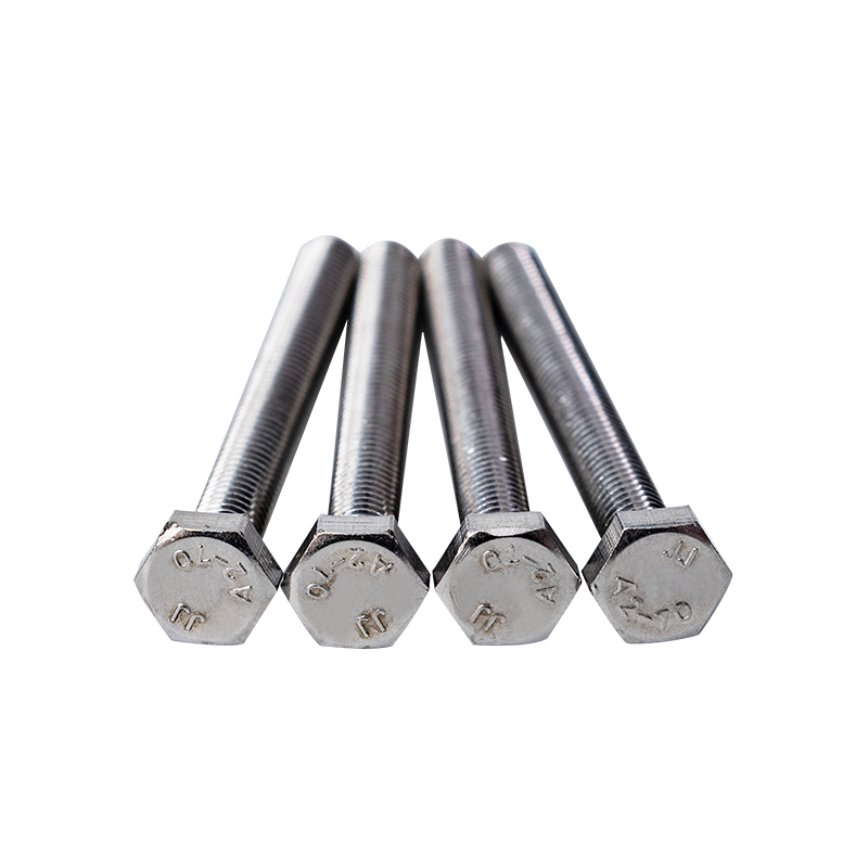 SS304 Din933 M10 Bulloni Hexagon Head